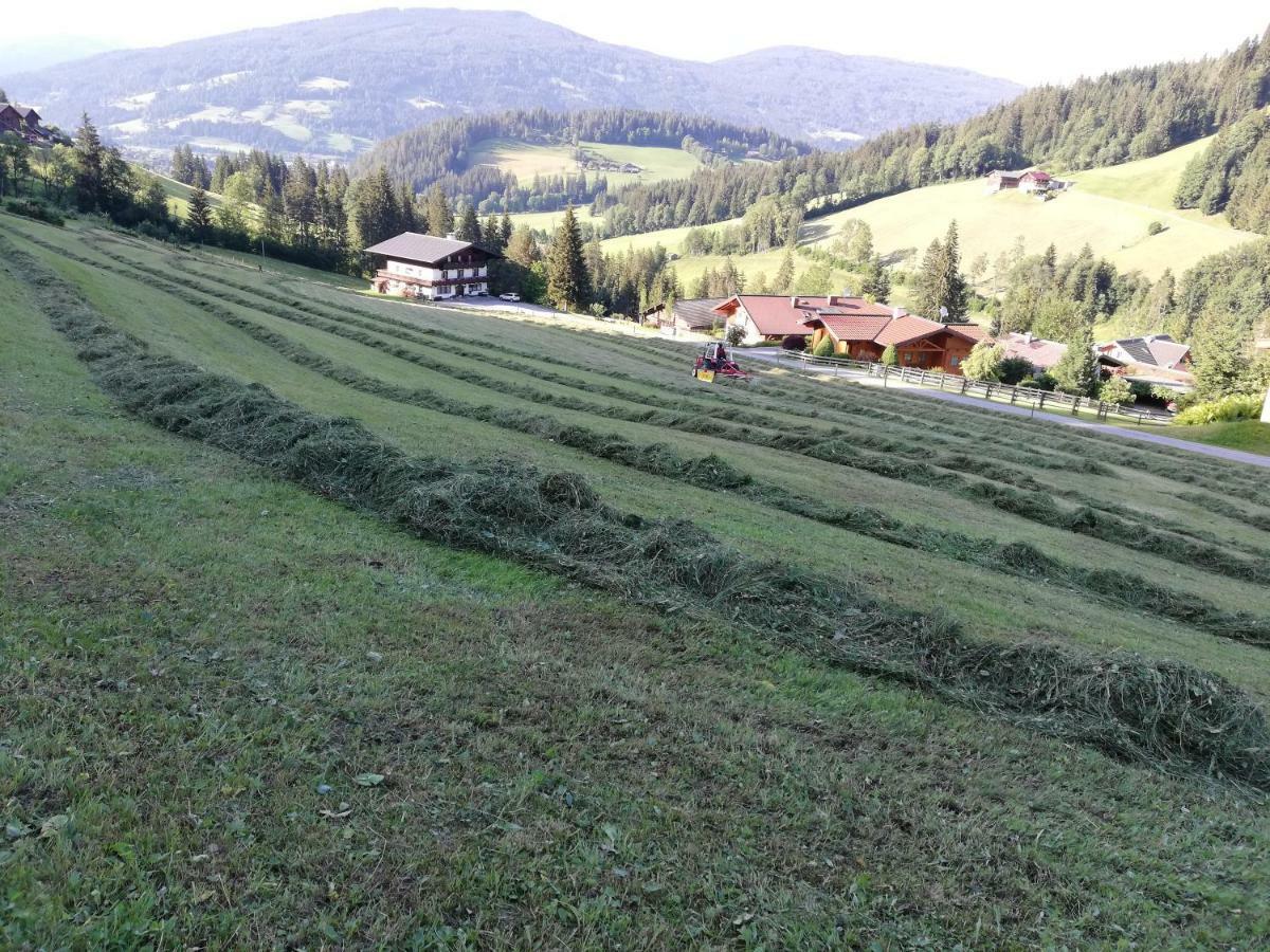 Vorderwiesgut Bed and Breakfast Altenmarkt im Pongau Exterior foto